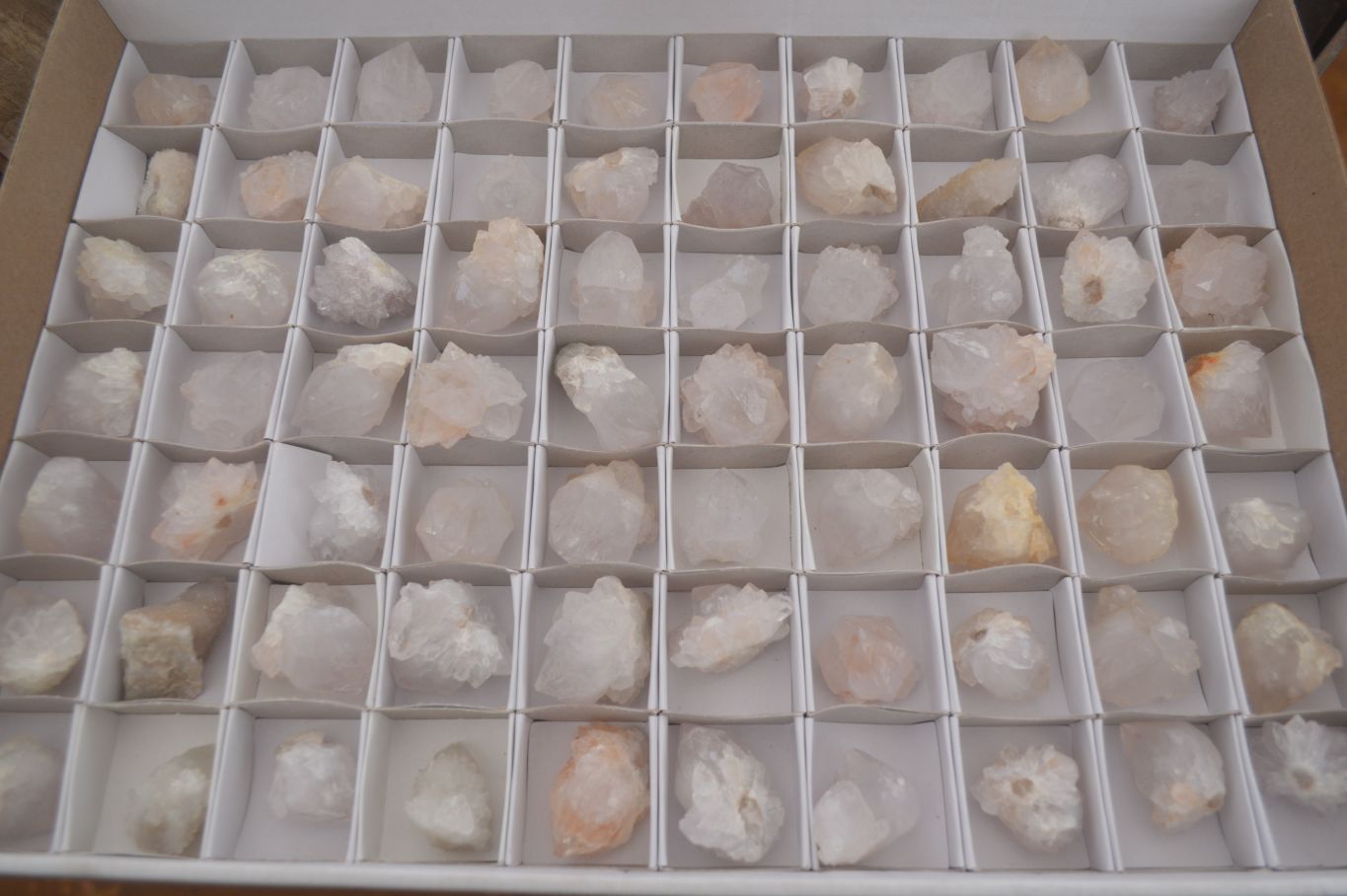 Natural Single White Cactus Quartz Crystals x 70 From Boekenhouthoek, South Africa - Toprock Gemstones and Minerals 