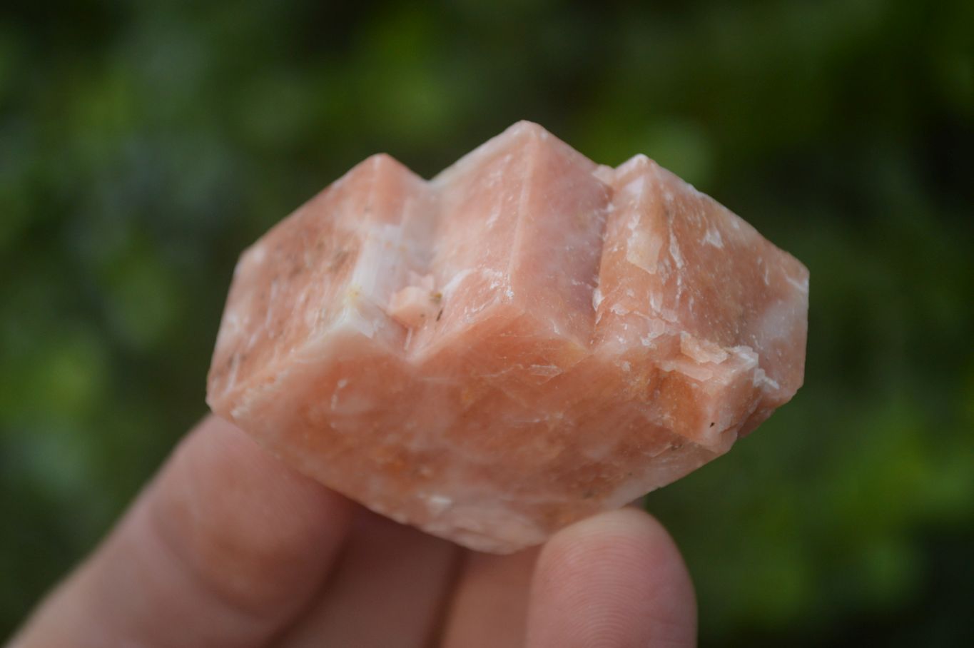 Natural New Sunset Orange Calcite Specimens  x 35 From Spitzkop, Namibia - Toprock Gemstones and Minerals 