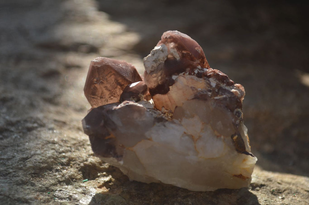 Natural Red Hematoid Quartz Specimens x 12 From Karoi, Zimbabwe - Toprock Gemstones and Minerals 
