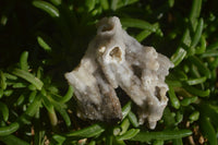 Natural Drusy Coated Quartz x 24 From Alberts Mountain, Lesotho - Toprock Gemstones and Minerals 