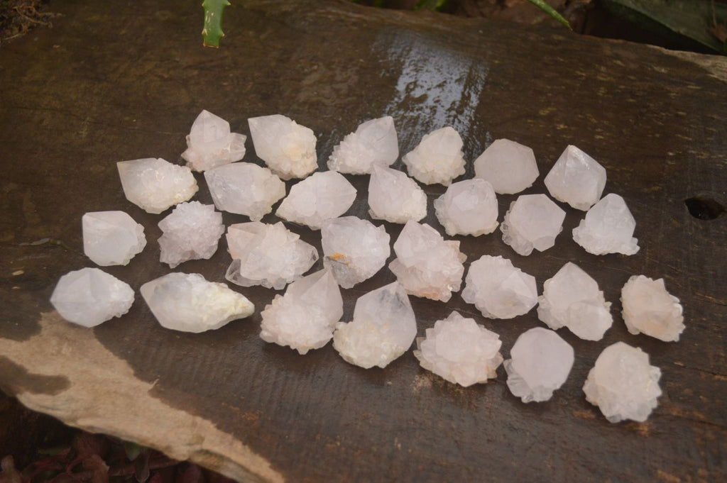 Natural Single White Cactus Quartz Crystals x 70 From Boekenhouthoek, South Africa - Toprock Gemstones and Minerals 