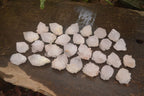 Natural Single White Cactus Quartz Crystals x 70 From Boekenhouthoek, South Africa - Toprock Gemstones and Minerals 