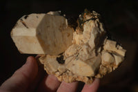 Natural Mixed Aegirine Specimens  x 6 From Zomba, Malawi