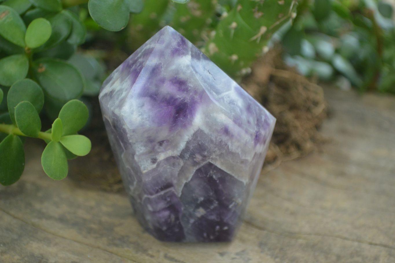 Polished Chevron Amethyst Points  x 4 From Zambia - Toprock Gemstones and Minerals 