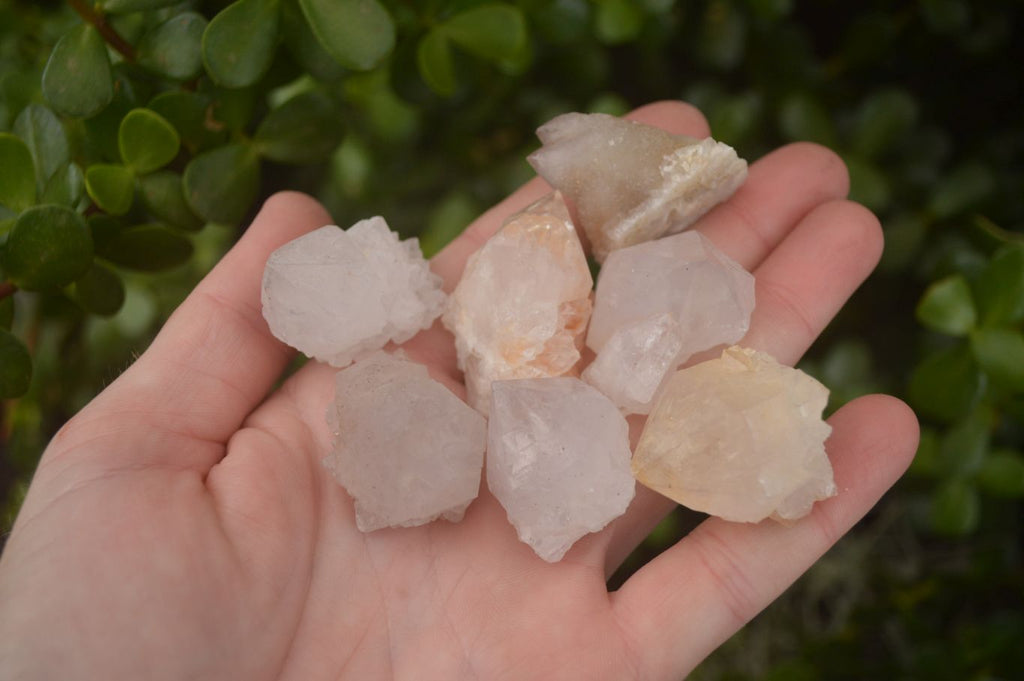 Natural Single White Cactus Quartz Crystals x 70 From Boekenhouthoek, South Africa - Toprock Gemstones and Minerals 