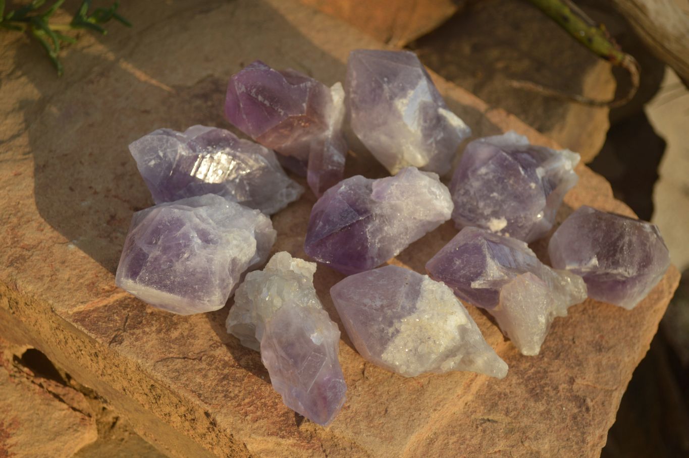 Natural Jacaranda Amethyst Single Crystal Specimens x 12 From Mumbwe, Zambia - Toprock Gemstones and Minerals 