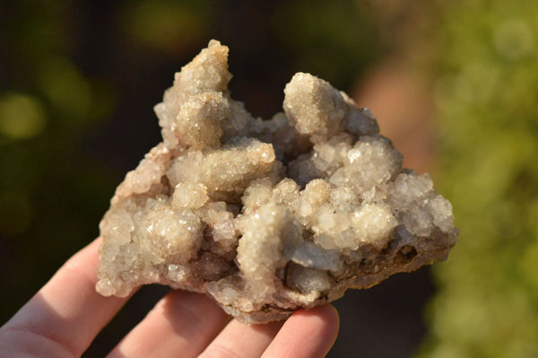 Natural Dog Tooth Calcite On Drusy Quartz Specimens  x 2 From Albert's Mountain, Lesotho - TopRock