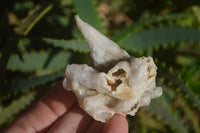 Natural Drusy Coated Quartz x 24 From Alberts Mountain, Lesotho - Toprock Gemstones and Minerals 