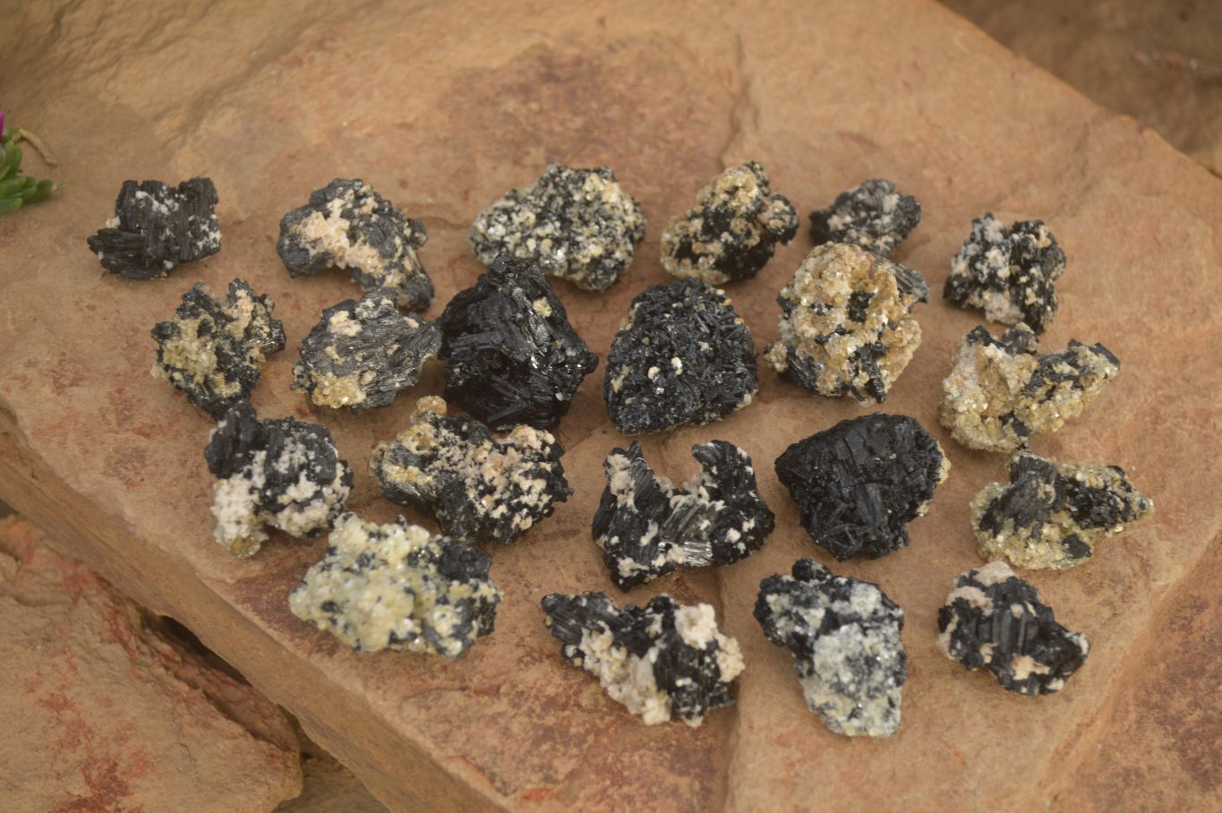 Natural Small Schorl Black Tourmaline Specimens x 70 From Erongo, Namibia - Toprock Gemstones and Minerals 