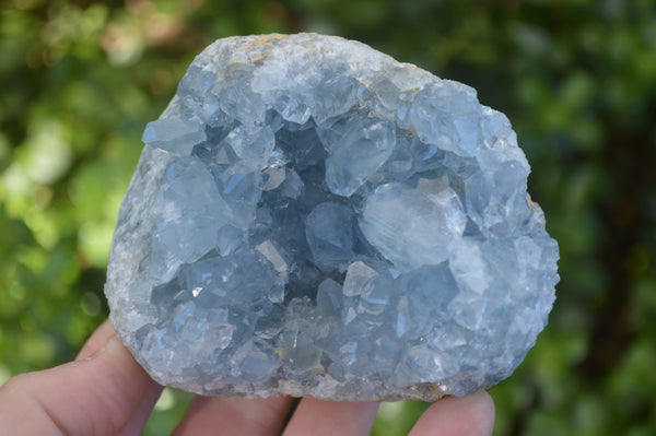 Natural Blue Celestite Crystal Specimens  x 2 From Madagascar - Toprock Gemstones and Minerals 