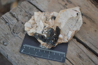 Natural Mixed Aegirine Specimens  x 6 From Zomba, Malawi
