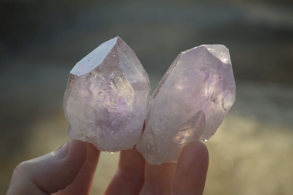 Natural Jacaranda Amethyst Single Crystal Specimens x 12 From Mumbwe, Zambia - Toprock Gemstones and Minerals 