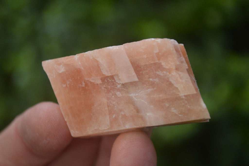 Natural New Sunset Orange Calcite Specimens  x 35 From Spitzkop, Namibia - Toprock Gemstones and Minerals 