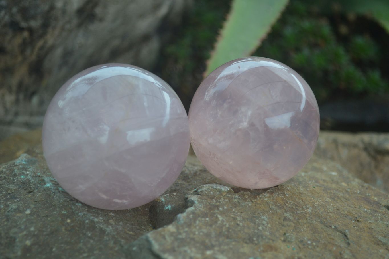 Polished Gemmy Pink Rose Quartz Spheres  x 6 From Ambatondrazaka, Madagascar - Toprock Gemstones and Minerals 