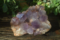 Natural Jacaranda Amethyst Cluster x 1 From Mumbwa, Zambia - TopRock