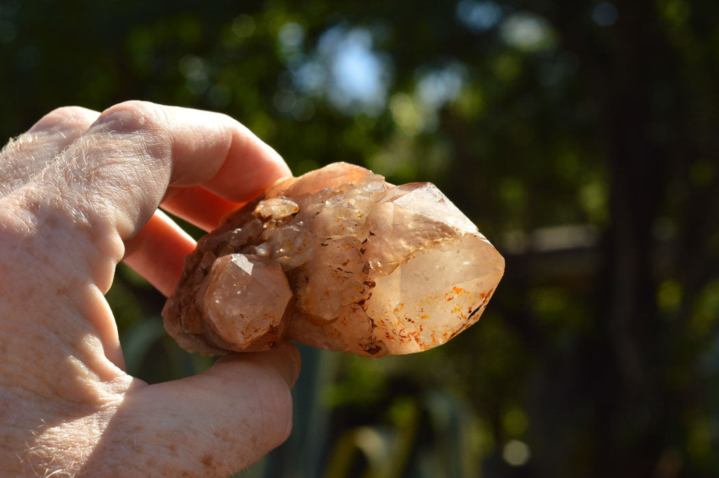 Natural Cascading White Phantom Smokey Quartz Clusters  x 6 From Luena, Congo - TopRock