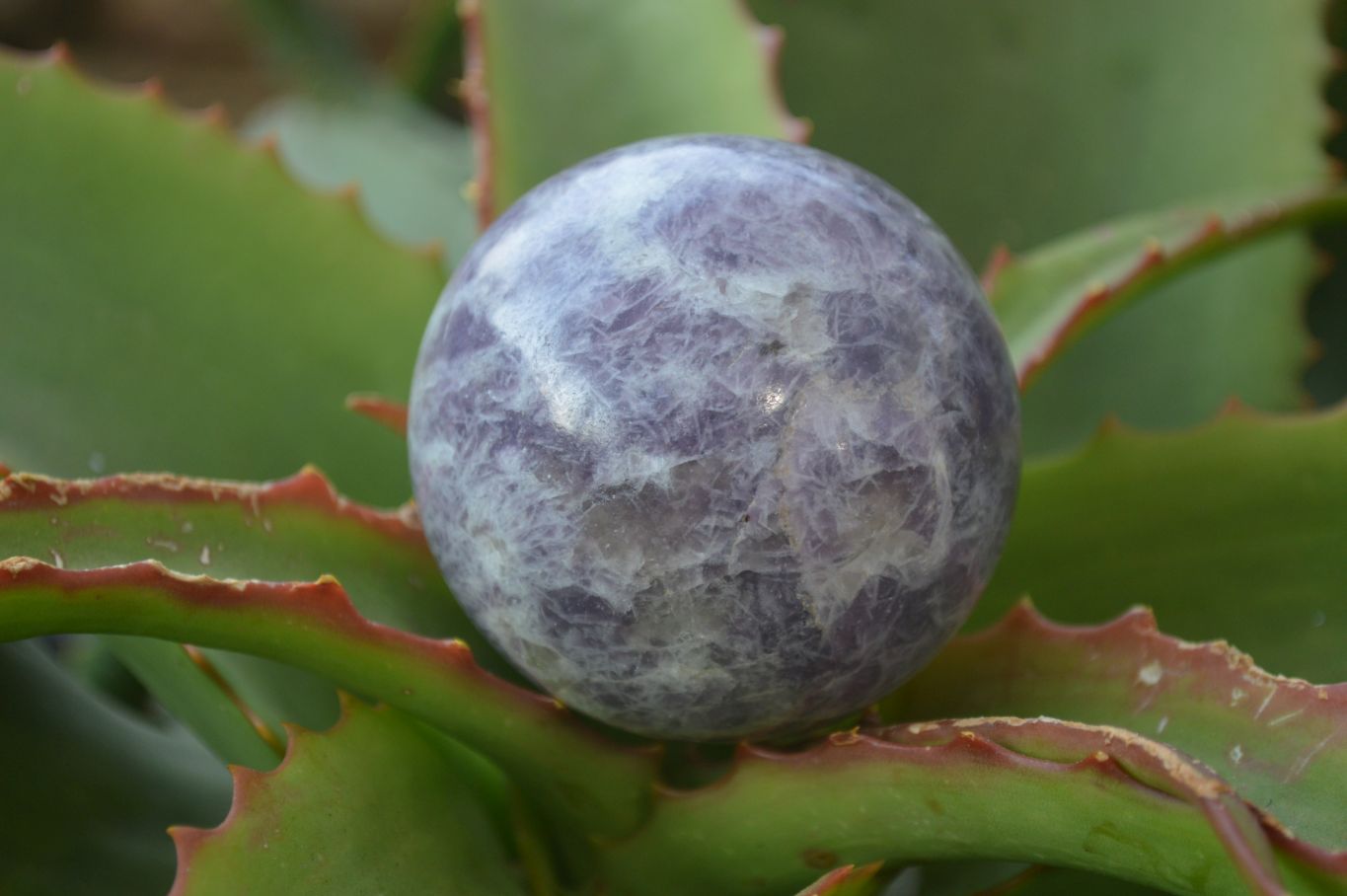 Polished Purple Lepidolite Spheres  x 6 From Madagascar - Toprock Gemstones and Minerals 