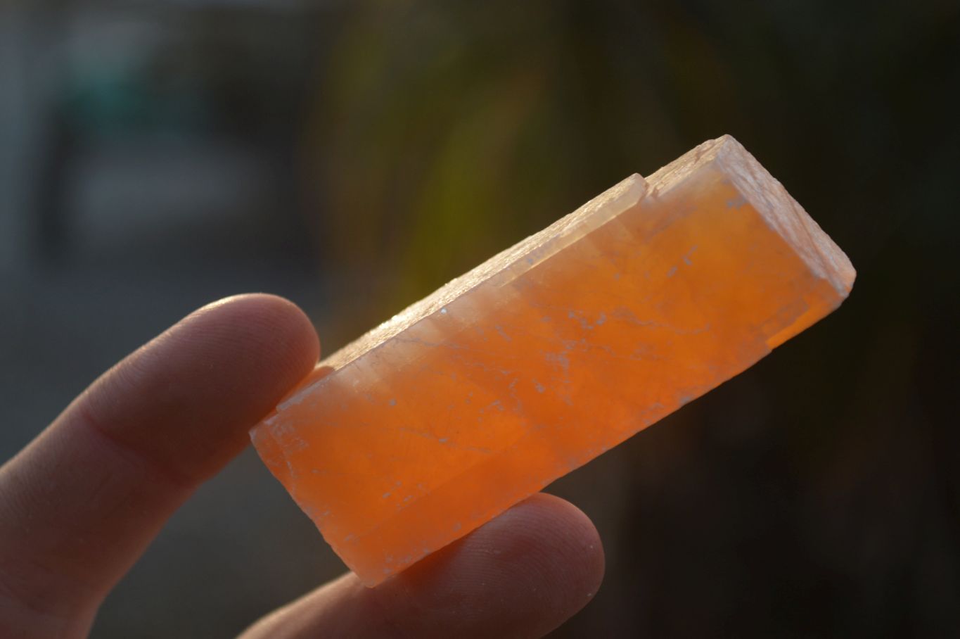 Natural New Sunset Orange Calcite Specimens  x 35 From Spitzkop, Namibia - Toprock Gemstones and Minerals 