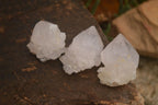 Natural Single White Cactus Quartz Crystals x 70 From Boekenhouthoek, South Africa - Toprock Gemstones and Minerals 