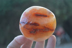 Polished Stunning Carnelian Agate Palm Stones  x 6 From Madagascar - Toprock Gemstones and Minerals 