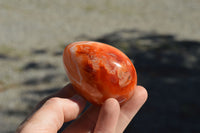 Polished Small Carnelian Agate Eggs  x 12 From Madagascar - TopRock