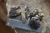 Natural Small Schorl Black Tourmaline Specimens x 70 From Erongo, Namibia - Toprock Gemstones and Minerals 