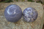 Polished Purple Lepidolite Spheres  x 6 From Madagascar - Toprock Gemstones and Minerals 