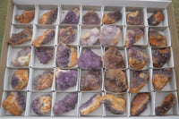 Natural Small Dark "Amethystos" Amethyst Clusters x 35 From Kwaggafontein, South Africa - TopRock