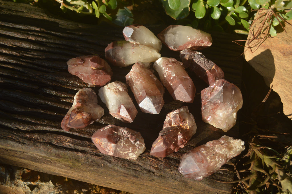 Natural Red Hematoid Quartz Specimens x 12 From Karoi, Zimbabwe - Toprock Gemstones and Minerals 