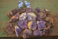 Natural Small Dark "Amethystos" Amethyst Clusters x 35 From Kwaggafontein, South Africa - TopRock