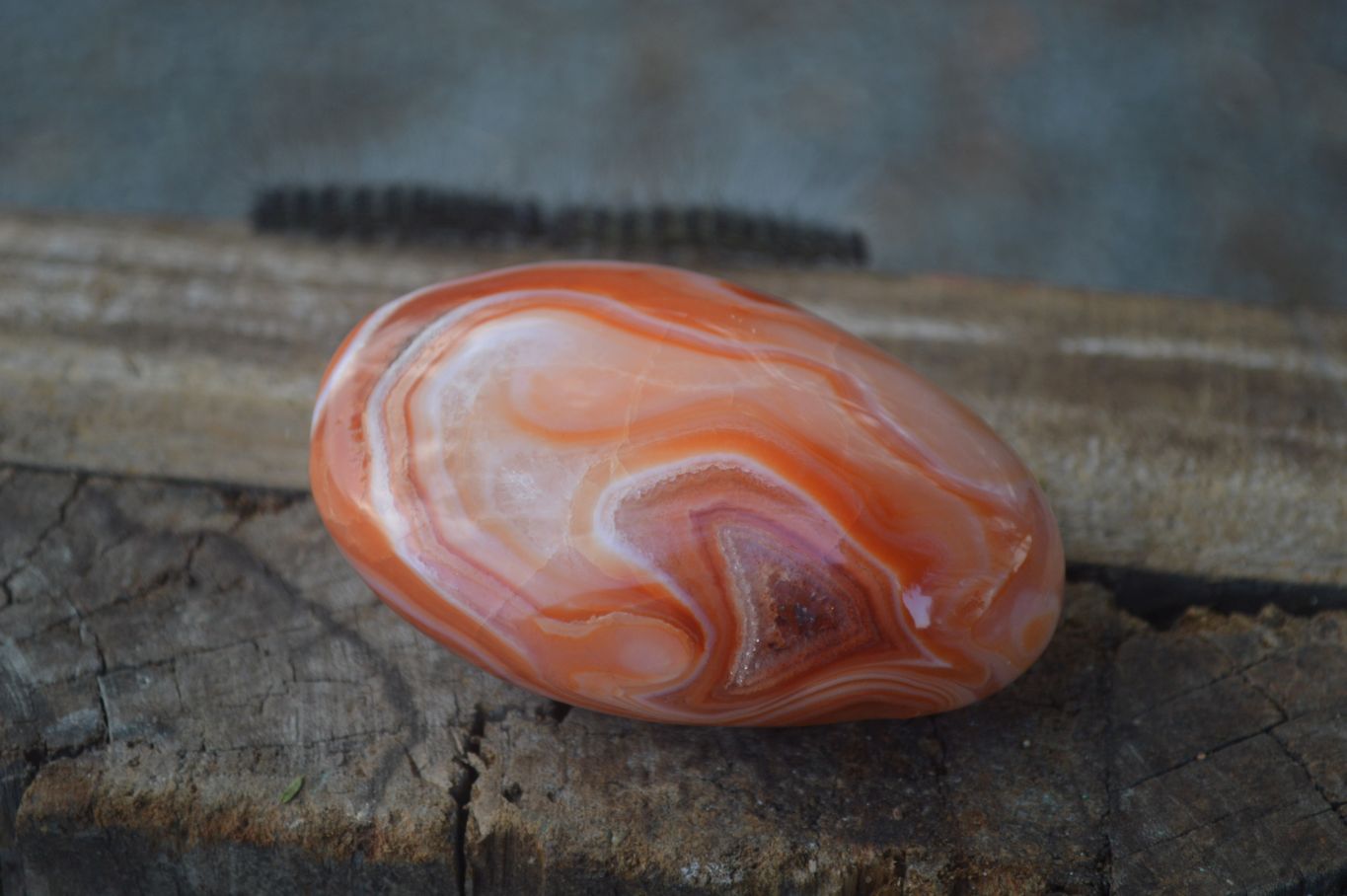 Polished Stunning Carnelian Agate Palm Stones  x 6 From Madagascar - Toprock Gemstones and Minerals 