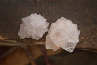 Natural Single White Cactus Quartz Crystals x 70 From Boekenhouthoek, South Africa - Toprock Gemstones and Minerals 
