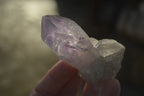 Natural Jacaranda Amethyst Single Crystal Specimens x 12 From Mumbwe, Zambia - Toprock Gemstones and Minerals 