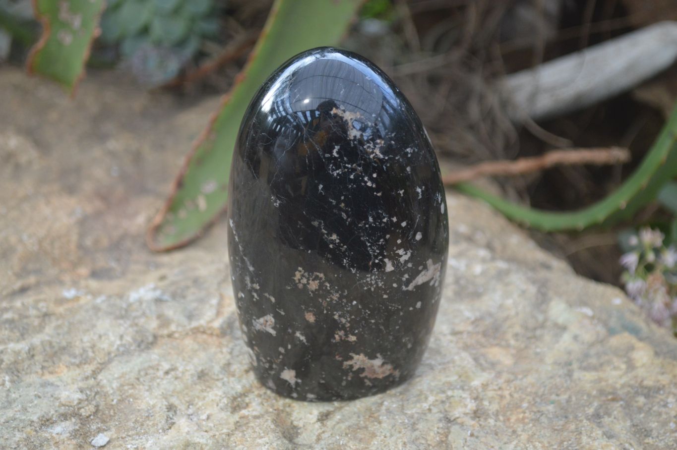 Polished Schorl Black Tourmaline Standing Free Forms x 2 From Madagascar - Toprock Gemstones and Minerals 