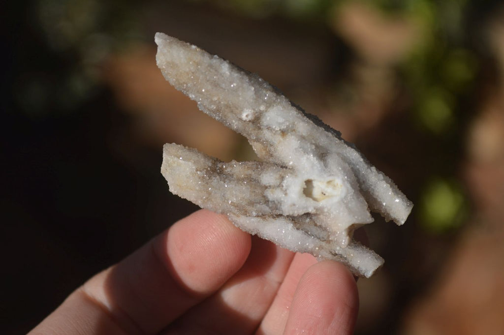 Natural Drusy Coated Quartz x 24 From Alberts Mountain, Lesotho - Toprock Gemstones and Minerals 