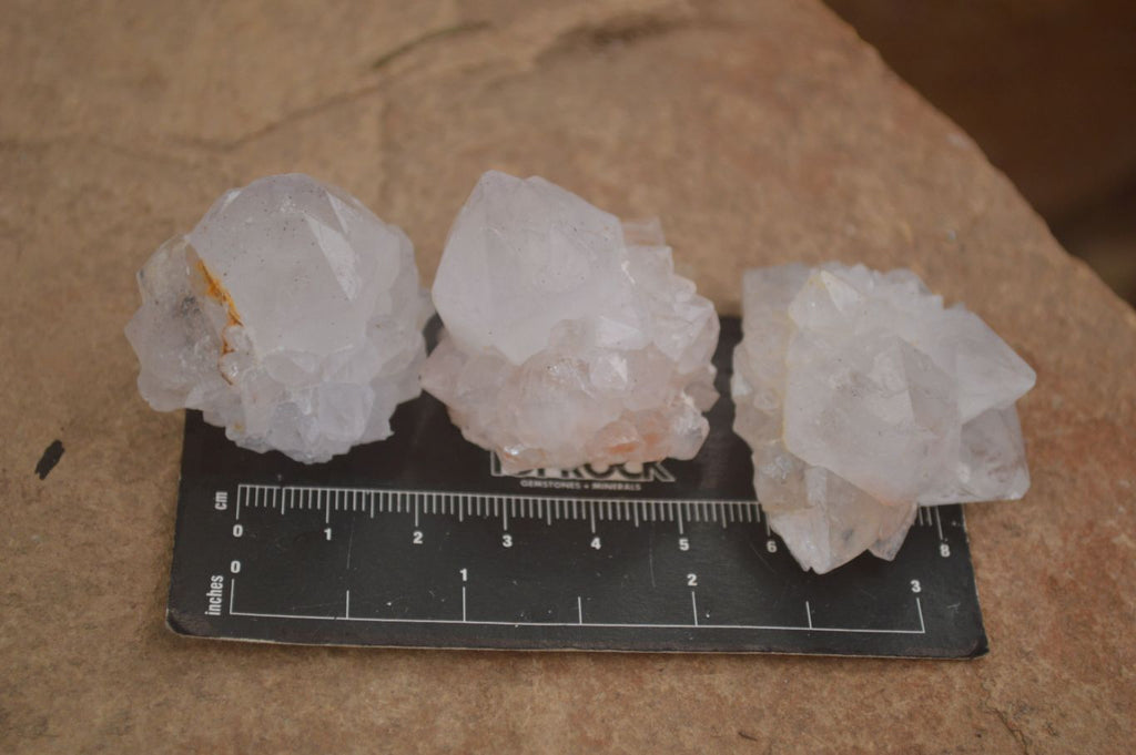 Natural Single White Cactus Quartz Crystals x 70 From Boekenhouthoek, South Africa - Toprock Gemstones and Minerals 