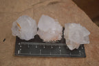 Natural Single White Cactus Quartz Crystals x 70 From Boekenhouthoek, South Africa - Toprock Gemstones and Minerals 