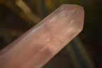 Polished Gemmy Double Terminated Rose Quartz Points x 4 From Ambatondrazaka, Madagascar - Toprock Gemstones and Minerals 