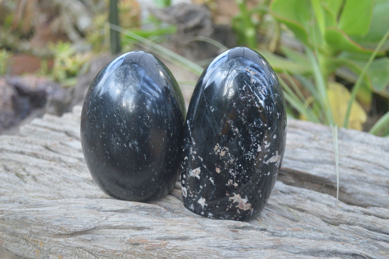 Polished Schorl Black Tourmaline Standing Free Forms x 2 From Madagascar - Toprock Gemstones and Minerals 