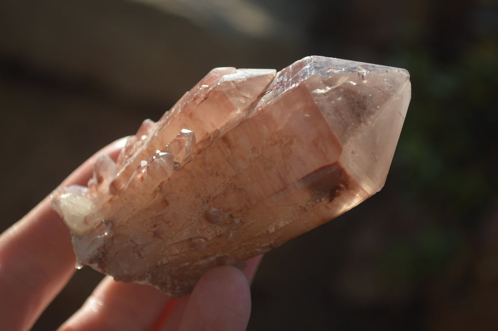 Natural Red Hematoid Quartz Specimens x 12 From Karoi, Zimbabwe - Toprock Gemstones and Minerals 