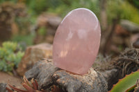 Polished Gemmy Pink Rose Quartz Standing Free Forms  x 3 From Ambatondrazaka, Madagascar - TopRock