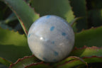 Polished Blue Spotted Spinel Quartz Spheres x 4 From Madagascar - Toprock Gemstones and Minerals 