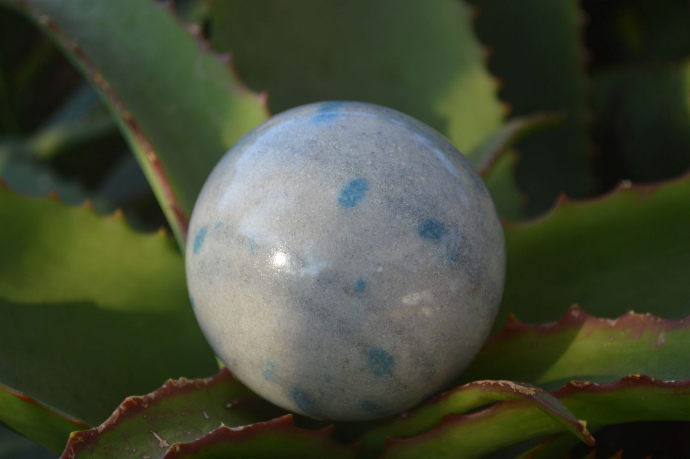 Polished Blue Spotted Spinel Quartz Spheres x 4 From Madagascar - Toprock Gemstones and Minerals 
