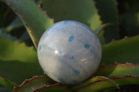 Polished Blue Spotted Spinel Quartz Spheres x 4 From Madagascar - Toprock Gemstones and Minerals 
