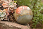Polished Pair Of Polychrome & Ocean Jasper Spheres  x 2 From Madagascar - TopRock