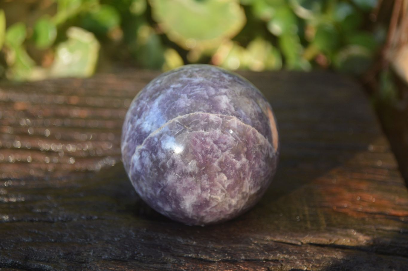 Polished Purple Lepidolite Spheres  x 6 From Madagascar - Toprock Gemstones and Minerals 
