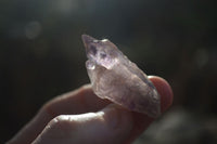 Natural Skeletal & Sceptre Window Amethyst Crystals  x 35 From Chiredzi, Zimbabwe - Toprock Gemstones and Minerals 