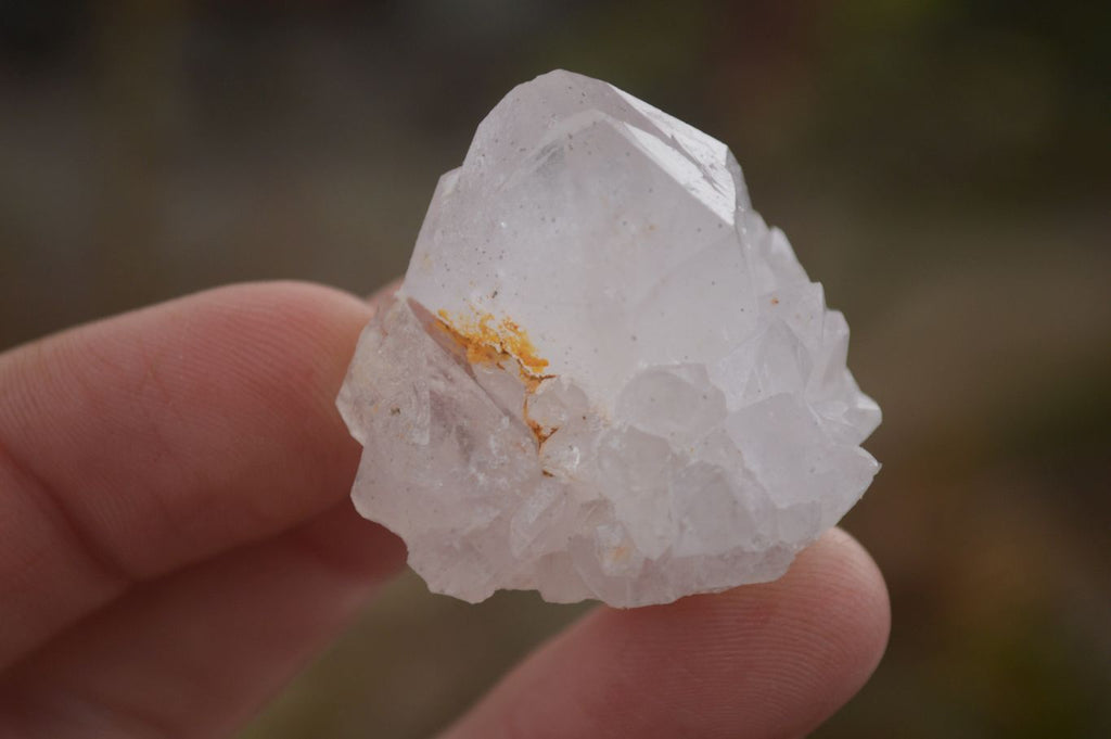 Natural Single White Cactus Quartz Crystals x 70 From Boekenhouthoek, South Africa - Toprock Gemstones and Minerals 