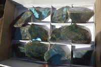 Polished One Side Polished Labradorite Slices  x 12 From Madagascar - Toprock Gemstones and Minerals 
