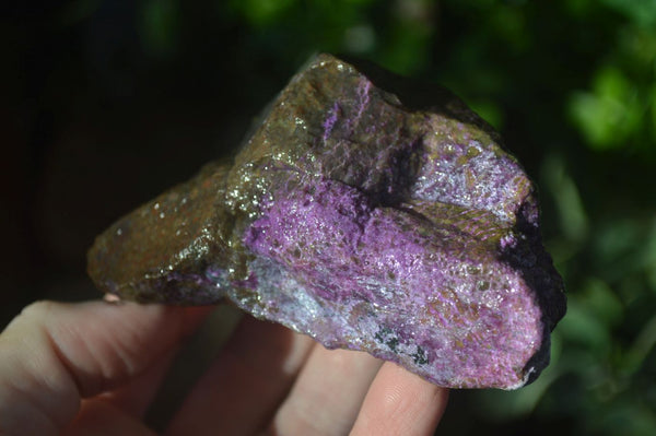 Natural Purple Stichtite Cobbed Specimens  x 12 From Barberton, South Africa - Toprock Gemstones and Minerals 
